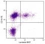 BALB/c mouse splenocytes were stained with Goat Anti-Mouse Lambda-BIOT (SB Cat. No. 1060-08) and Rat Anti-Mouse CD19-PE (SB Cat. No. 1575-09) followed by Streptavidin- FITC (SB Cat. No. 7100-02).