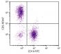 BALB/c mouse splenocytes were stained with Rat Anti-Mouse CD5-AF647 (SB Cat. No. 1547-31) and Rat Anti-Mouse CD19-FITC (SB Cat. No. 1575-02).