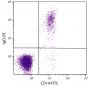 Human peripheral blood lymphocytes were stained with Mouse Anti-Human IgD-PE (SB Cat. No. 9030-09) and Mouse Anti-Human CD19-FITC (SB Cat. No. 9340-02).