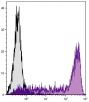 Human peripheral blood lymphocytes were stained with Mouse Anti-Human CD45RA-UNLB followed by Goat F(ab')<sub>2</sub> Anti-Mouse IgG<sub>2b</sub>, Human ads-PE (SB Cat. No. 1092-09).