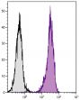 C57BL/6 mouse splenocytes were stained with Rat Anti-Mouse CD45-UNLB (SB Cat. No. 1660-01) followed by Goat Anti-Rat IgG(H+L), Mouse/Human ads-FITC (SB Cat. No. 3051-02).