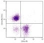 BALB/c mouse splenocytes were stained with Rat Anti-Mouse CD19-PE/CY5.5 (SB Cat. No. 1575-16) and Rat Anti-Mouse CD3ε-PE (SB Cat. No. 1535-09).