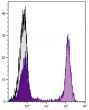 BALB/c mouse splenocytes were stained with Rat Anti-Mouse CD45R-PE/TXRD (SB Cat. No. 1665-10).