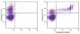 Day old BALB/c mouse bone marrow cells were stained with Annexin V-CY5 (SB Cat. No. 10040-15) with and without Propidium Iodide (SB Cat. No. 10044-01).