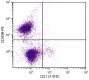 BALB/c mouse bone marrow cells were stained with Rat Anti-Mouse CD117-FITC (SB Cat. No. 1880-02) and Rat Anti-Mouse CD45R-PE (SB Cat. No. 1665-09).