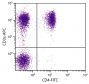 Porcine peripheral blood lymphocytes were stained with Mouse Anti-Porcine CD3ε-APC (SB Cat. No. 4510-11) and Mouse Anti-Porcine CD4-FITC (SB Cat. No. 4515-02).