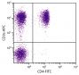 Porcine peripheral blood lymphocytes were stained with Mouse Anti-Porcine CD3ε-APC (SB Cat. No. 4510-11) and Mouse Anti-Porcine CD4-FITC (SB Cat. No. 4515-02).