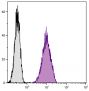 Human T cell leukemia cell line Jurkat was intracellularly stained with Mouse IgG<sub>2a</sub>-UNLB (SB Cat. No. 0102-01; gray) and Mouse Anti-Human CD107a-UNLB (SB Cat. No. 9835-01) followed by Goat Anti-Mouse IgG<sub>1</sub>, Human ads-FITC (SB Cat. No. 1070-02).