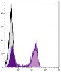 C57BL/6 mouse splenocytes were stained with Goat F(ab')<sub>2</sub> Anti-Mouse Kappa-BIOT (SB Cat. No. 1052-08) followed by Streptavidin-FITC (SB Cat. No. 7100-02).