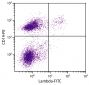 C57BL/6 mouse splenocytes were stained with Rat Anti-Mouse Lambda-FITC (SB Cat. No. 1175-02) and Rat Anti-Mouse CD19-PE (SB Cat. No. 1575-09).