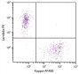 CD19+ human B-lymphocytes were stained with Goat F(ab')<sub>2</sub> Anti-Human Kappa-AF488 (SB Cat. 2062-30) and Goat F(ab')<sub>2</sub> Anti-Human Lambda, Mouse ads-PE (SB Cat. No. 2073-09).