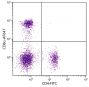 C57BL/6 mouse splenocytes were stained with Rat Anti-Mouse CD8α-AF647 (SB Cat. No. 1550-31) and Rat Anti-Mouse CD4-FITC (SB Cat. No. 1540-02).