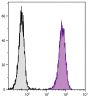 BALB/c mouse splenocytes were stained with Rat Anti-Mouse CD45-UNLB (SB Cat. No. 1660-01) followed by Goat Anti-Rat IgG(H+L), Mouse ads-FITC (SB Cat. No. 3050-02).