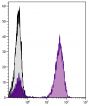 Human peripheral blood lymphocytes were stained with Mouse Anti-Human CD3-UNLB followed by Rat Anti-Mouse IgG<sub>1</sub>-PE (SB Cat. No. 1144-09).