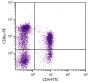 Porcine peripheral blood lymphocytes were stained with Mouse Anti-Porcine CD8α-PE (SB Cat. No. 4520-09) and Mouse Anti-Porcine CD4-FITC (SB Cat. No. 4515-02).