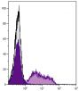 Rabbit peripheral blood lymphocytes were stained with Mouse Anti-Rabbit RLA-DR-PE (SB Cat. No. 4070-09).