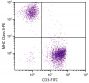 Chicken peripheral blood lymphocytes were stained with Mouse Anti-Chicken MHC Class II-PE (SB Cat. No. 8350-09) and Mouse Anti-Chicken CD3-FITC (SB Cat. No. 8200-02).