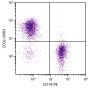 BALB/c mouse splenocytes were stained with Rat Anti-Mouse CD3ε-SPRD (SB Cat. No. 1535-13) and Rat Anti-Mouse CD19-PE (SB Cat. No. 1575-09).