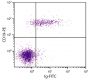 Human peripheral blood lymphocytes were stained with Goat F(ab')<sub>2</sub> Anti-Human Ig-FITC (SB Cat. No. 2012-02) and Mouse Anti-Human CD19-PE (SB Cat. No. 9340-09).