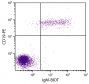 Human peripheral blood lymphocytes were stained with Goat F(ab')<sub>2</sub> Anti-Human IgM-BIOT (SB Cat. 2022-08) and Mouse Anti-Human CD19-PE (SB Cat. No. 9340-09) followed by Streptavidin-FITC (SB Cat. No. 7100-02).