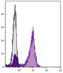 Human peripheral blood lymphocytes were stained with Mouse Anti-Human CD5-UNLB followed by Goat Anti-Mouse IgG<sub>2a</sub>, Human ads-UNLB (SB Cat. No. 1080-01) then Swine Anti-Goat IgG(H+L), Human/Rat/Mouse SP ads-FITC (SB Cat. No. 6300-02).