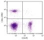 BALB/c mouse splenocytes were stained with Rat Anti-Mouse CD8α-SPRD (SB Cat. No. 1550-13) and Rat Anti-Mouse CD4-PE (SB Cat. No. 1540-09).