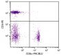 Chicken peripheral blood lymphocytes were stained with Mouse Anti-Chicken CD8α-PACBLU (SB Cat. No. 8220-26) and Mouse Anti-Chicken CD4-PE (SB Cat. No. 8210-09).