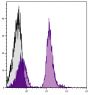 C57BL/6 mouse splenocytes were stained with Mouse Anti-Mouse CD19-APC/CY7 (SB Cat. No. 1576-19).