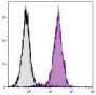 C57BL/6 mouse splenocytes were stained with Mouse Anti-Mouse CD45.2-FITC (SB Cat. No. 1800-02).