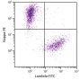 CD19+ human B-lymphocytes were stained with Goat F(ab')<sub>2</sub> Anti-Human Kappa-PE (SB Cat. 2062-09) and Goat F(ab')<sub>2</sub> Anti-Human Lambda, Mouse ads-FITC (SB Cat. No. 2073-02).