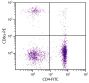 Chicken peripheral blood lymphocytes were stained with Mouse Anti-Chicken CD8α-PE (SB Cat. No. 8220-09) and Mouse Anti-Chicken CD4-FITC (SB Cat. No. 8210-02).