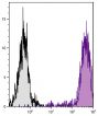 C57BL/6 mouse cytotoxic T lymphocyte cell line CTLL-2 was stained with Rat Anti-Mouse CD25-PE/CY7 (SB Cat. No. 1600-17).