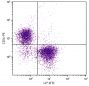 AKR mouse splenocytes were stained with Mouse Anti-Mouse I-Ek-FITC (SB Cat. No. 1898-02) and Rat Anti-Mouse CD3ε-PE (SB Cat. No. 1535-09).