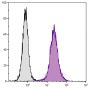 Human T cell leukemia cell line Jurkat was intracellularly stained with Mouse Anti-Human Tollip-UNLB (SB Cat. No. 12060-01) followed by Goat Anti-Mouse IgG<sub>2a</sub>, Human ads-PE (SB Cat. No. 1080-09).