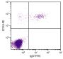 Human peripheral blood lymphocytes were stained with Goat Anti-Human IgD-FITC (SB Cat. 2030-02) and Mouse Anti-Human CD19-PE (SB Cat. No. 9340-09).