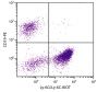 BALB/c mouse bone marrow cells were stained with Rat Anti-Mouse Ly-6G/Ly-6C-BIOT (SB Cat. No. 1900-08) and Rat Anti-Mouse CD19-PE (SB Cat. No. 1575-09) followed by Streptavidin-FITC (SB Cat. No. 7100-02).