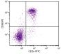 BALB/c mouse splenocytes were stained with Rat Anti-Mouse CD90-PE (SB Cat. No. 1740-09) and Rat Anti-Mouse CD3ε-FITC (SB Cat. No. 1535-02).