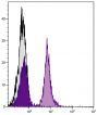 BALB/c mouse splenocytes were stained with Mouse Anti-Mouse CD19-UNLB (SB Cat. No. 1576-01) followed by Rat Anti-Mouse IgA-PE (SB Cat. No. 1165-09).