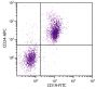 C57BL/6 mouse splenocytes were stained with Rat Anti-Mouse CD24-APC (SB Cat. No. 1815-11) and Rat Anti-Mouse CD19-FITC (SB Cat. No. 1575-02).