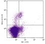 C57BL/6 mouse splenocytes were stained with Rat Anti-Mouse NKG2-A/C/E-PE (SB Cat. No. 1804-09) and Mouse Anti-Mouse NK1.1-FITC (SB Cat. No. 1805-02).