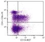 PMA and ionomycin stimulated BALB/c mouse splenocytes were stained with Hamster Anti-Mouse CD154-BIOT (SB Cat. No. 1650-08), Rat Anti-Mouse CD4-PE (SB Cat. No. 1540-09), and Rat Anti-Mouse CD8α-PE (SB Cat. No. 1550-09) followed by Streptavidin-FITC (SB Cat. No. 7100-02).