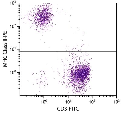 Chicken peripheral blood lymphocytes were stained with Mouse Anti-Chicken MHC Class II-PE (SB Cat. No. 8350-09) and Mouse Anti-Chicken CD3-FITC (SB Cat. No. 8200-02).