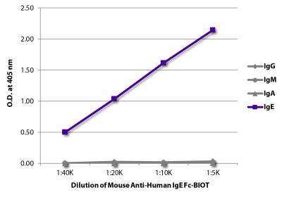 ELISA plate was coated with purified human IgG, IgM, IgA, and IgE. Immunoglobulins were detected with serially diluted Mouse Anti-Human IgE Fc-BIOT (SB Cat. No. 9250-08) followed by Streptavidin-HRP (SB Cat. No. 7100-05).