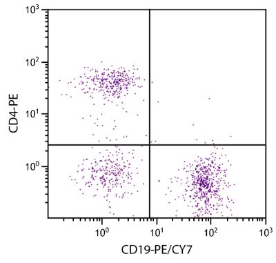 C57BL/6 mouse splenocytes were stained with Rat Anti-Mouse CD19-PE/CY7 (SB Cat. No. 1575-17) and Rat Anti-Mouse CD4-PE (SB Cat. No. 1540-09).