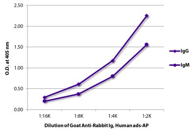 ELISA plate was coated with purified rabbit IgG and IgM.  Immunoglobulins were detected with serially diluted Goat Anti-Rabbit Ig, Human ads-AP (SB Cat. No. 4010-04).