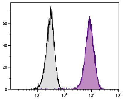 Human T cell leukemia cell line Jurkat was intracellularly stained with Mouse Anti-Human CD107b-AF647 (SB Cat. No. 9840-31).