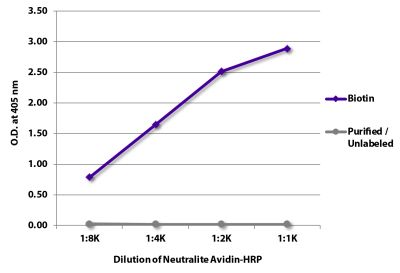 ELISA plate was coated with Goat Anti-Human IgG-BIOT (SB Cat. No. 2040-08) and purified/unlabeled Rat IgG<sub>2b</sub>κ.  Biotin conjugated antibody and purified immunoglobulin were detected with serially diluted Neutralite Avidin-HRP (SB Cat. No. 7200-05).