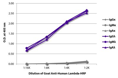 ELISA plate was coated with purified human IgGκ, IgMκ, IgAκ, IgGλ, IgMλ, and IgAλ.  Immunoglobulins were detected with serially diluted Goat Anti-Human Lambda-HRP (SB Cat. No. 2070-05).