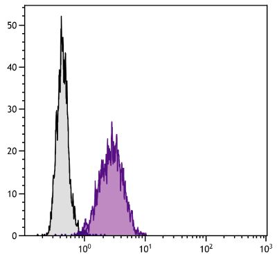 Human histiocytic lymphoma cell line U-937 was stained with Mouse Anti-Human CD105-AF488 (SB Cat. No. 9811-30).