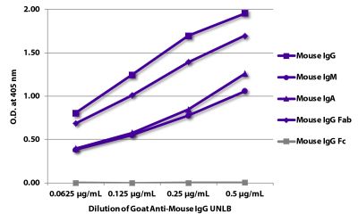 ELISA plate was coated with purified mouse IgG, IgM, IgA, IgG Fab, and IgG Fc.  Immunoglobulins were detected with serially diluted Goat Anti-Mouse IgG Fab-UNLB (SB Cat. No. 1015-01) followed by Mouse Anti-Goat IgG Fc-HRP (SB Cat. No. 6158-05).